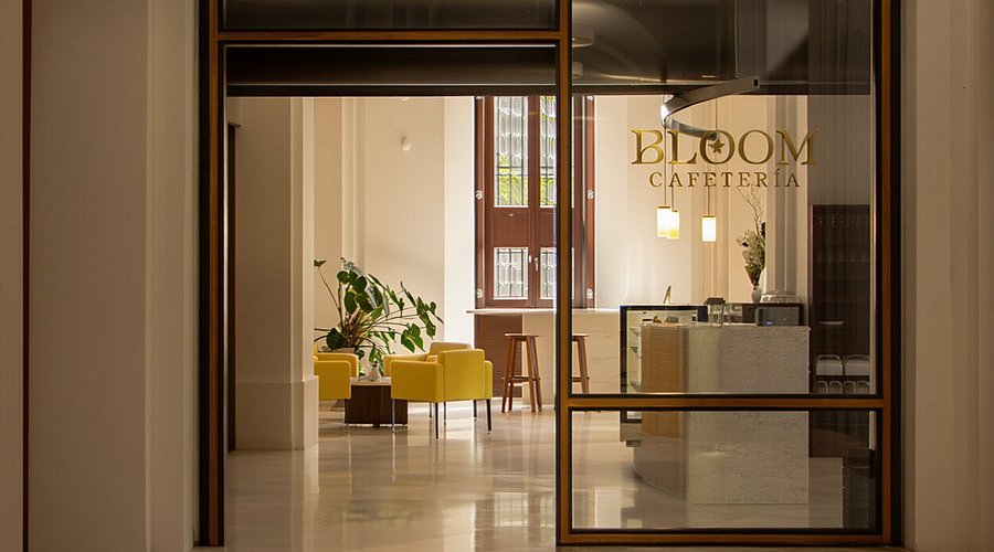 Bloom Málaga cafeteria interior inside museum with modern minimalist design