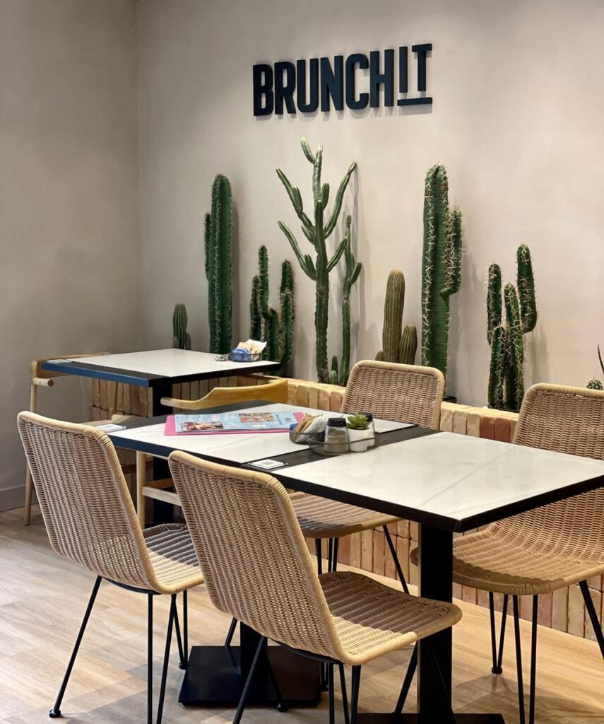 Brunchit Málaga interior with cactus decor and minimalist seating – stylish brunch café Málaga